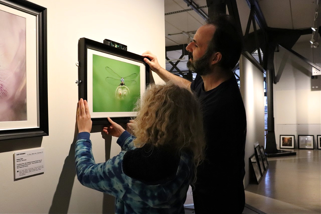 Hanging photos for garden photo competition
