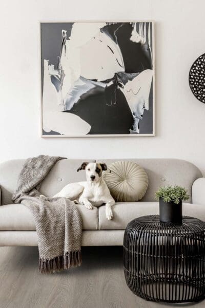 vinyl flooring in a black and white living room theme