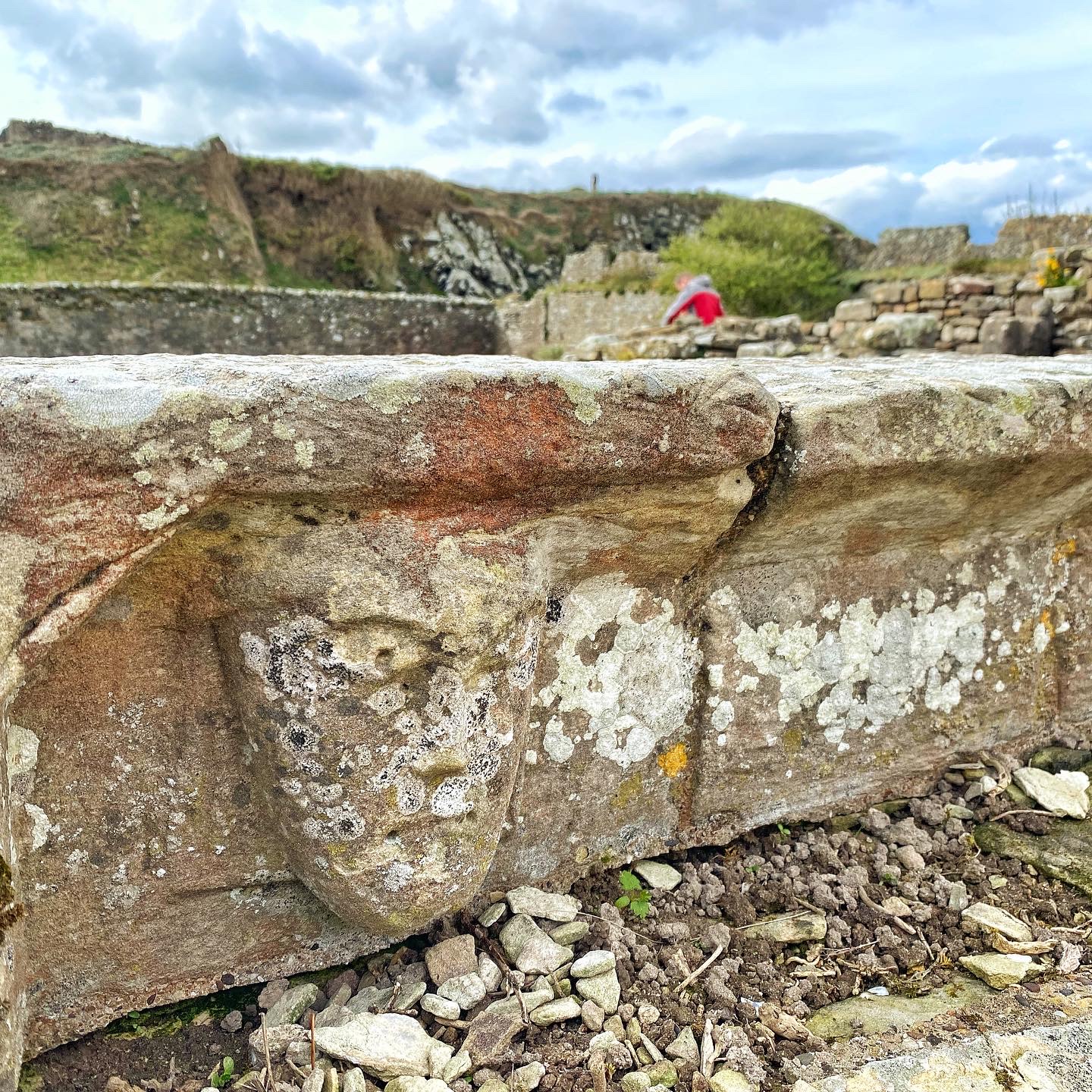 Head in Lindisfarne drinking water