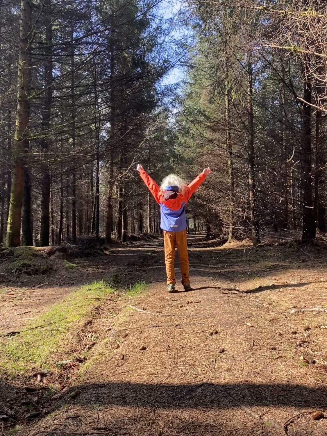 Walking in the forest