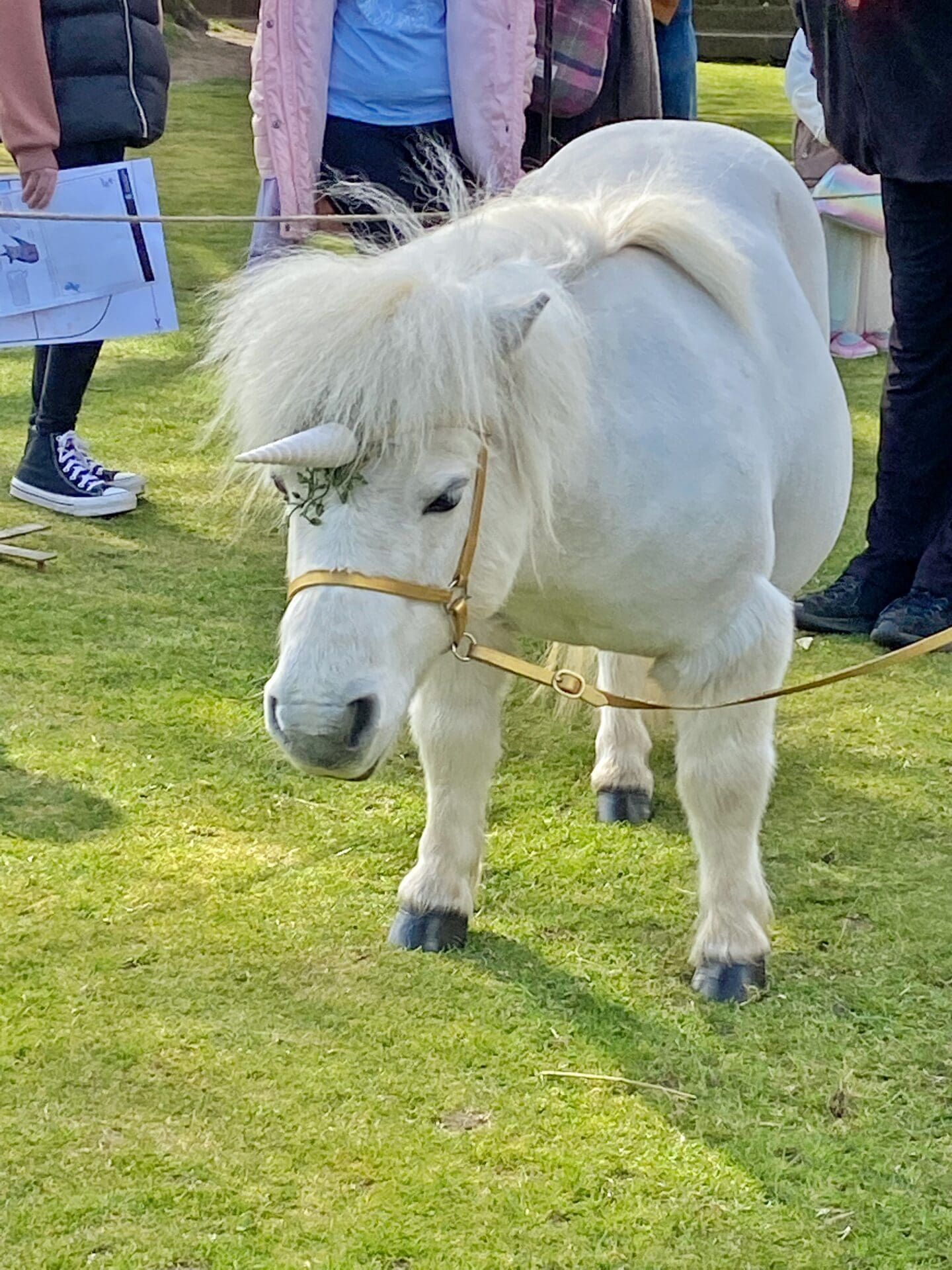 Unicorn outside a castle