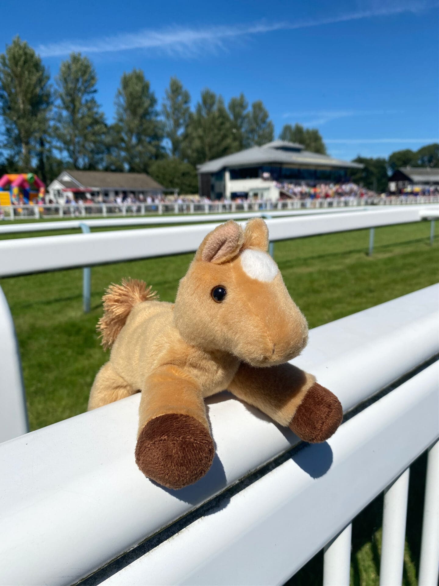 Soft toy horse at Perth race course