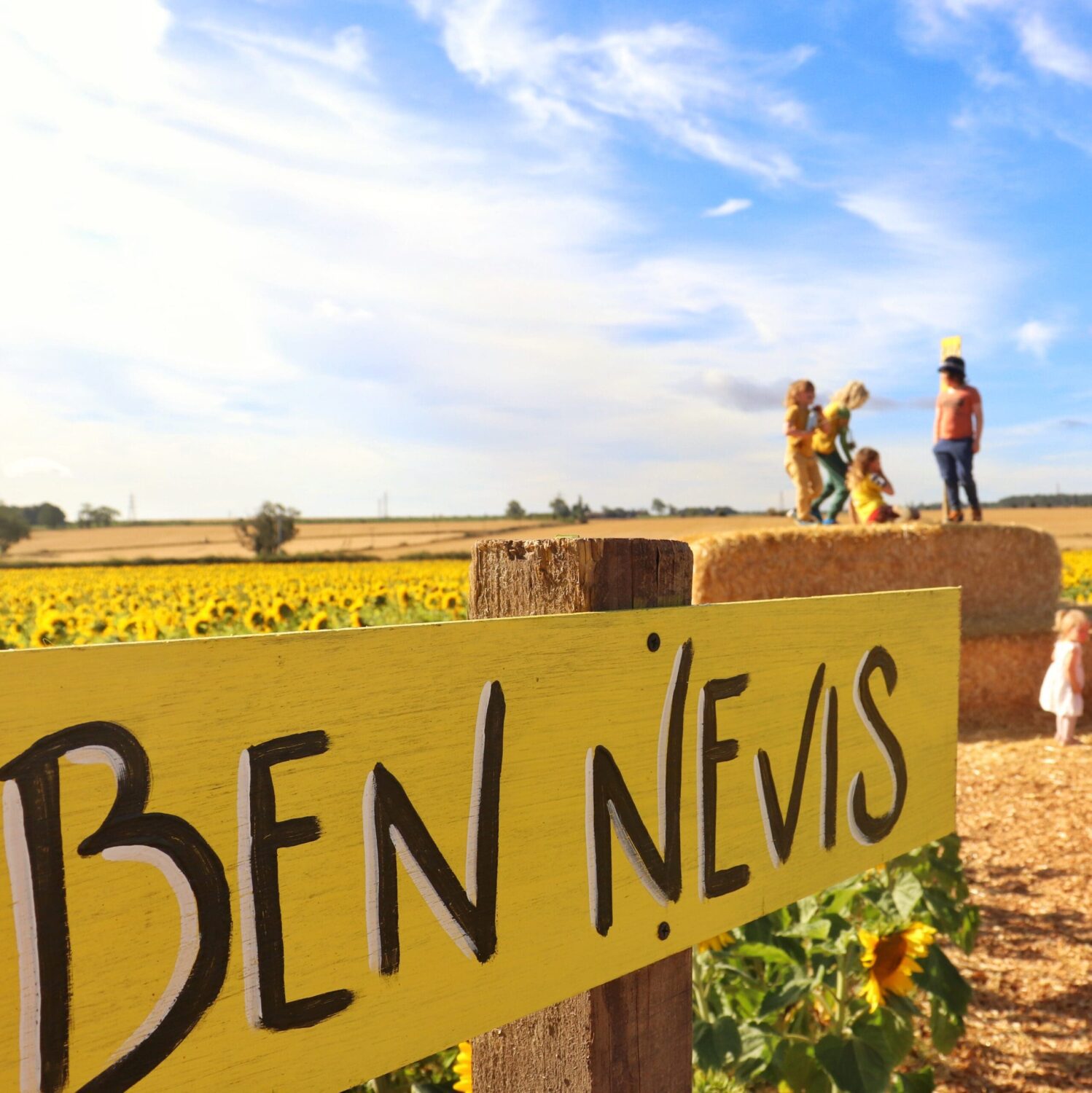 Ben Nevis sign in front of hay bales and sunflowers