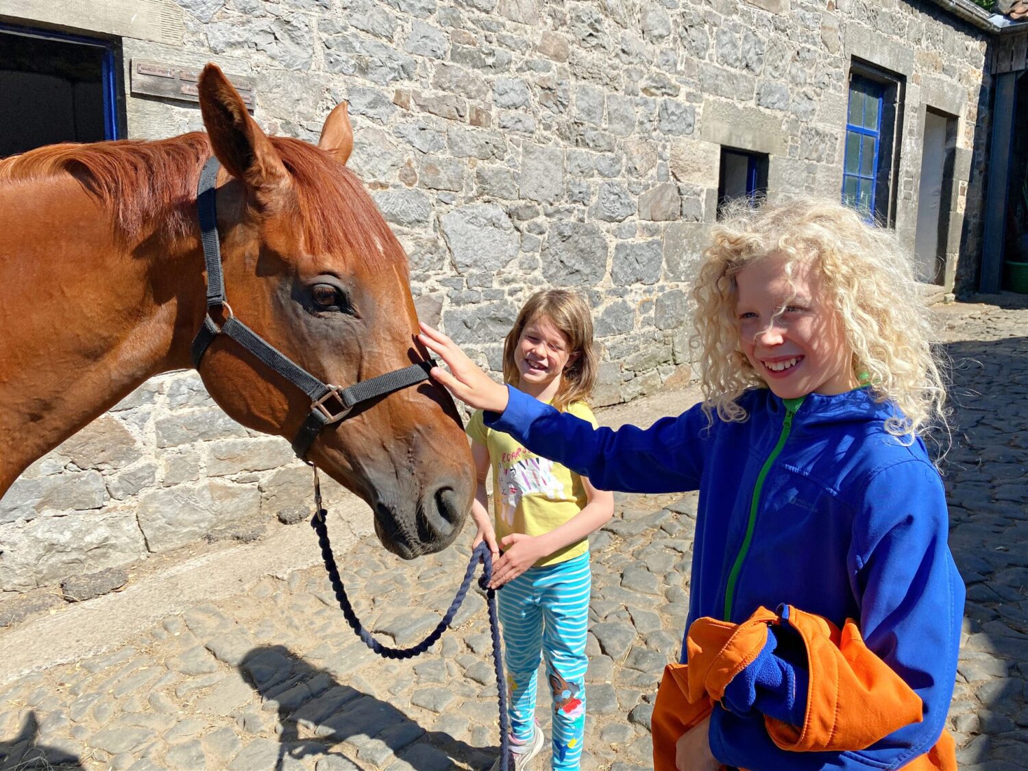 Children petting a racehorse