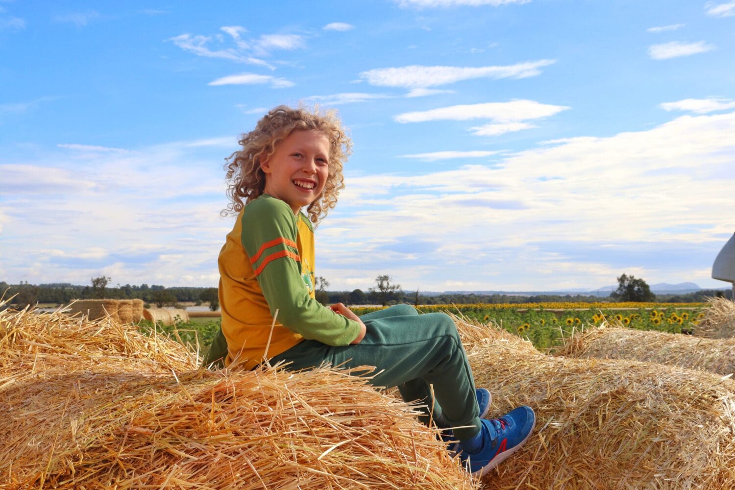 Child sitting on hay bales in Scottish sunflower field