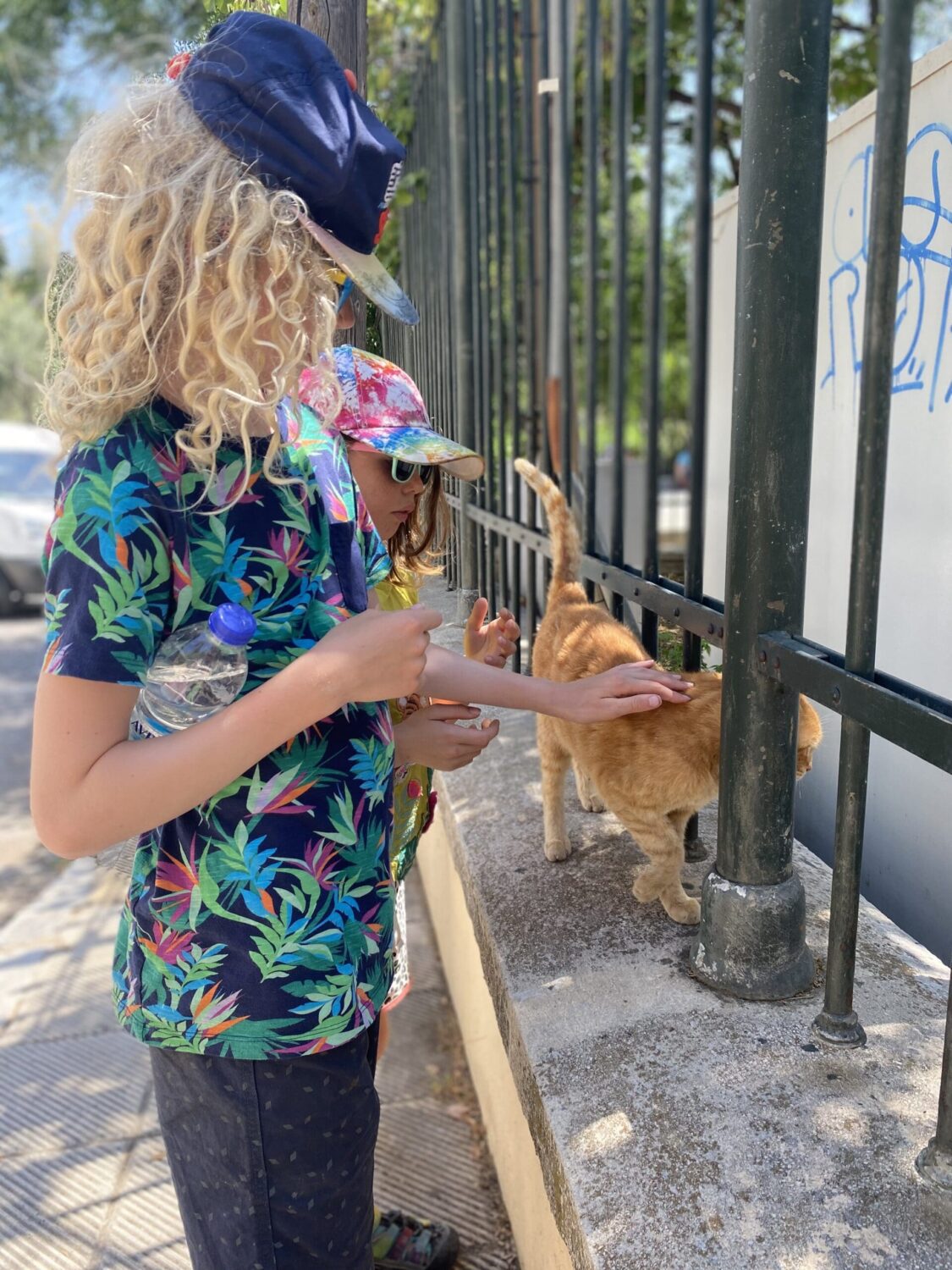 Child patting cat Athens