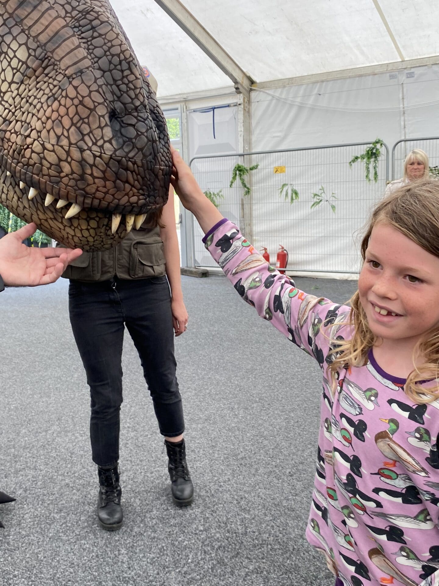 Dinosaur meet and greet