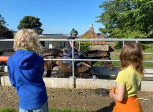 Horse going through water bath whilst 2 children watch