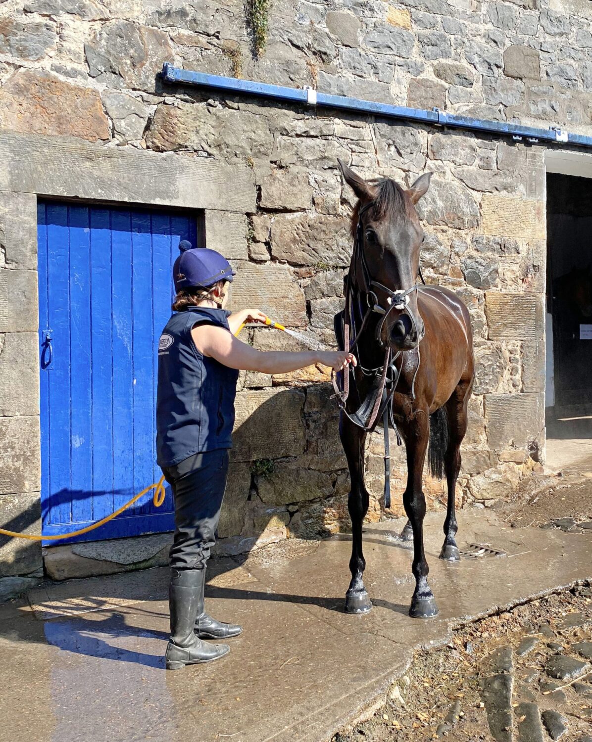 Horse being cooled down with hose