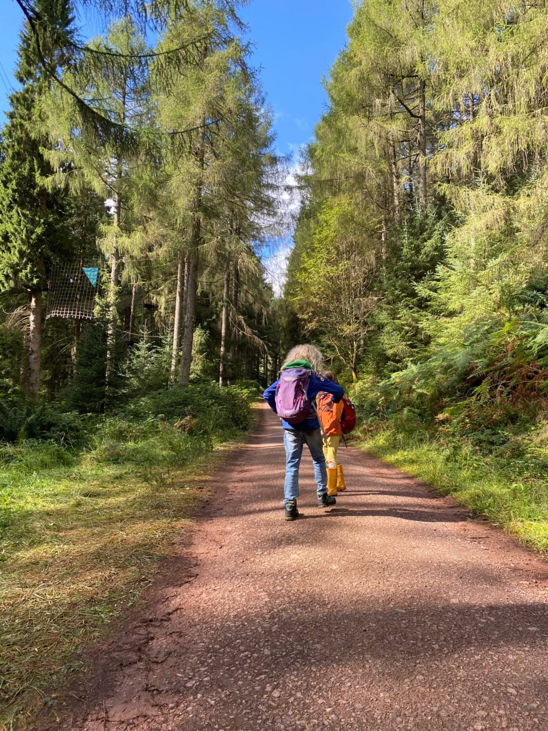 Children walking along forest path