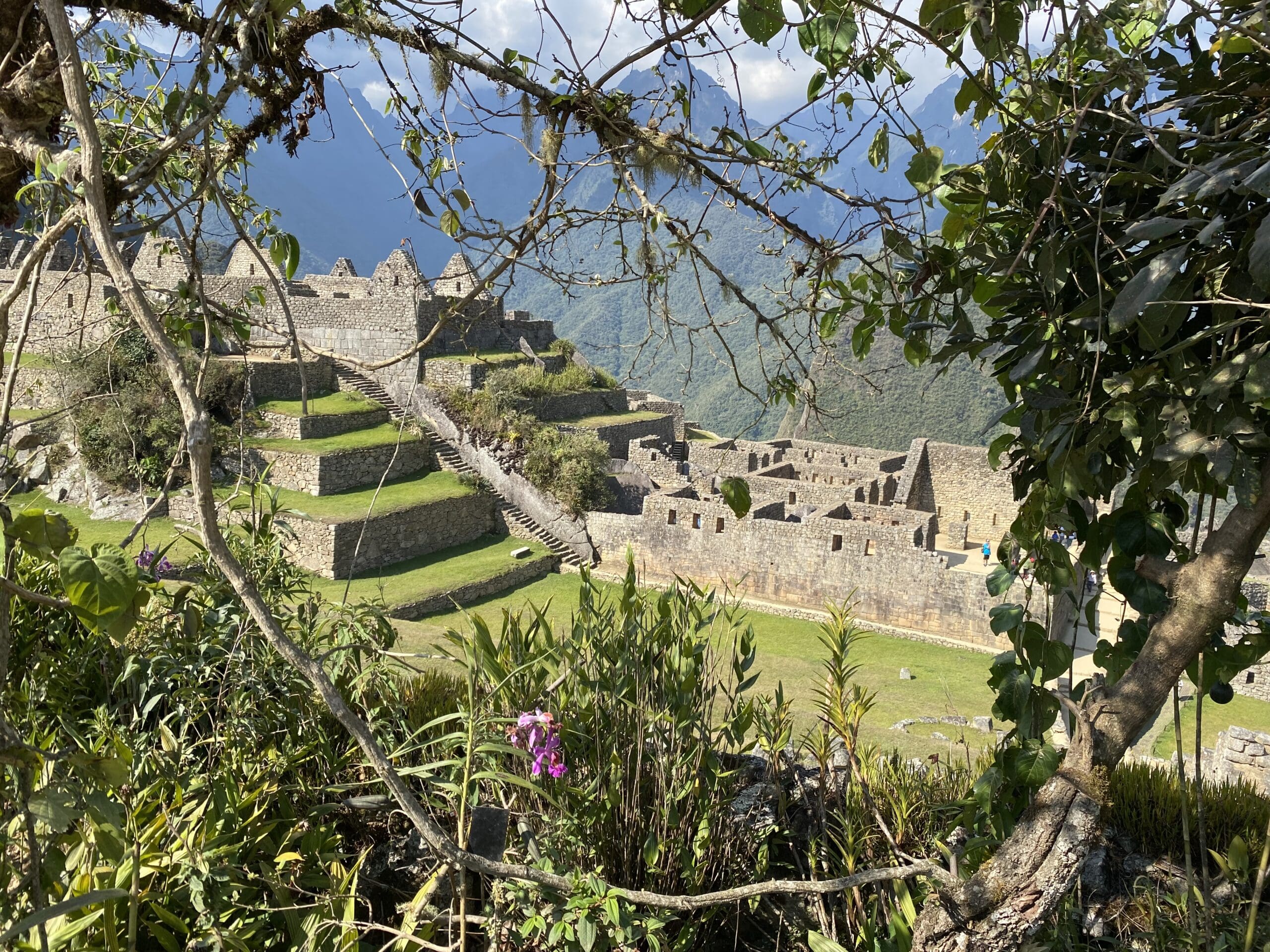 View into plaza of Machu Picchu