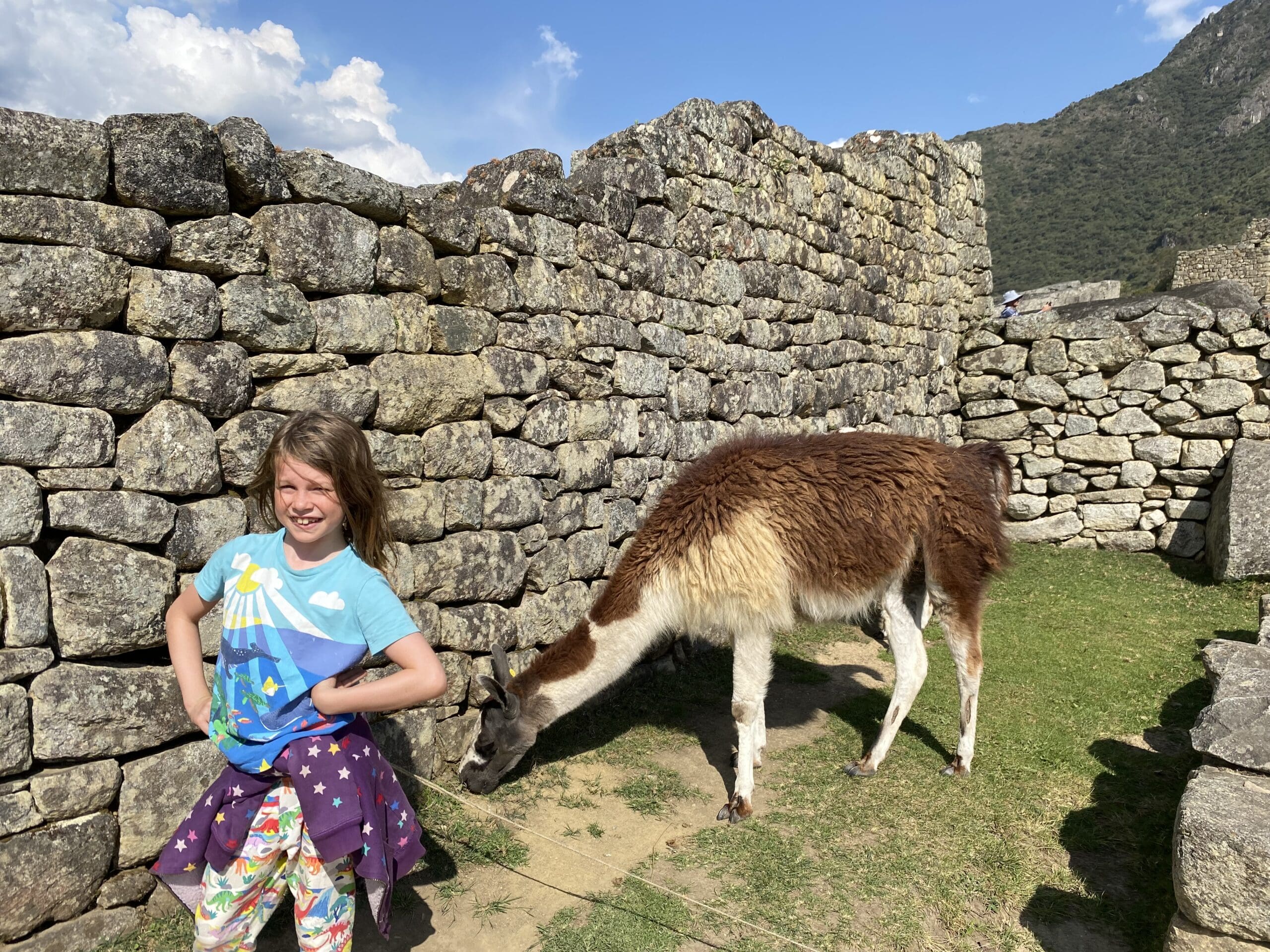 Llama and child at Machu Picchu