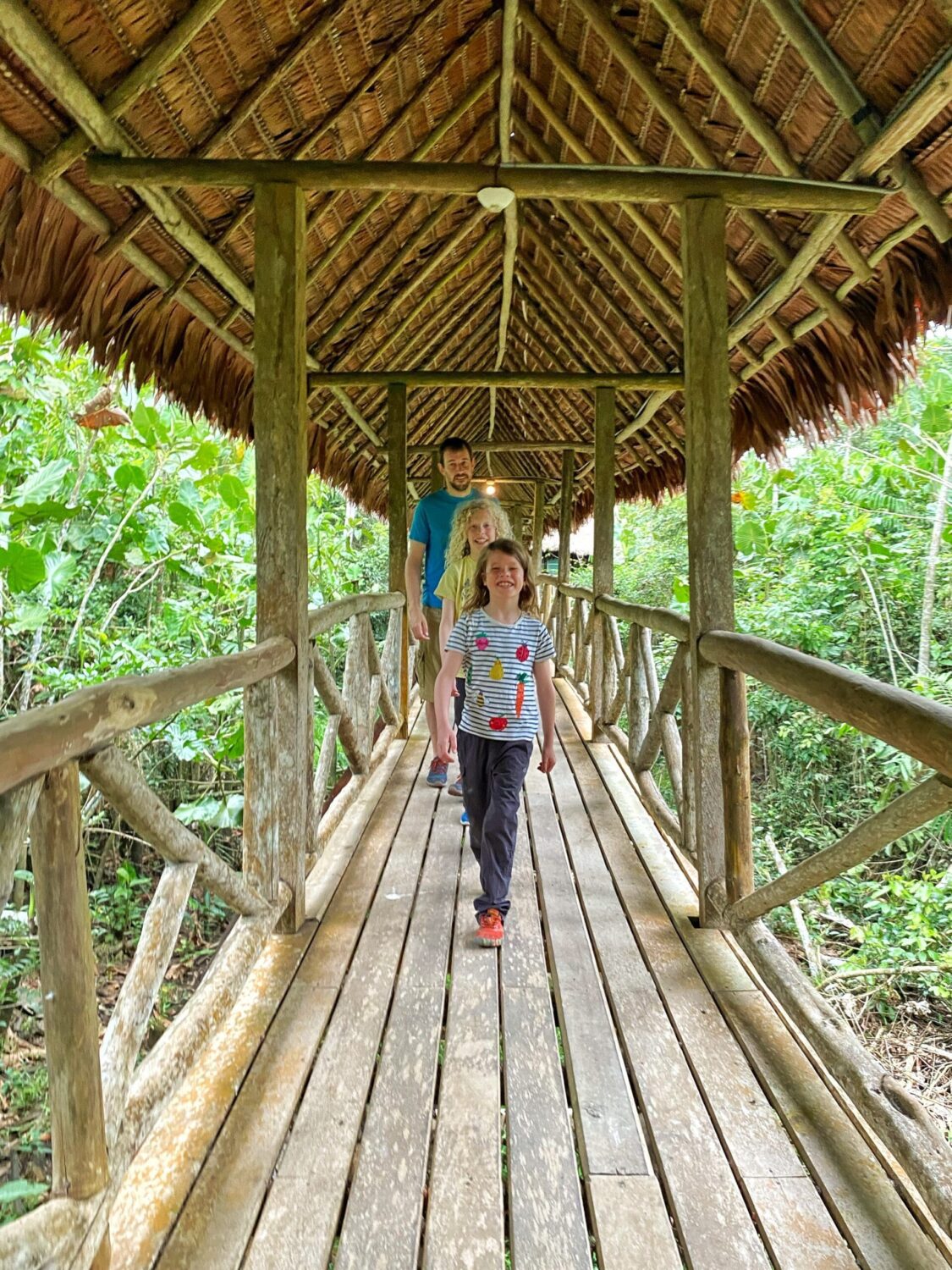 Children on wooden jungle platform