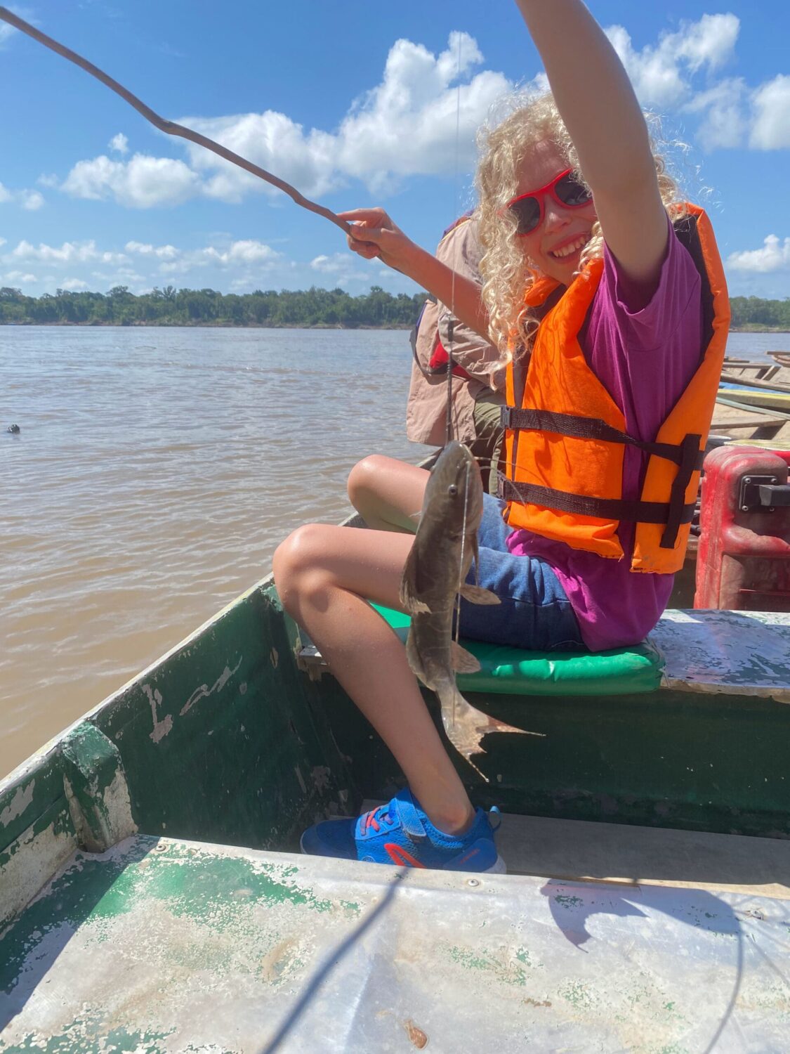 Catfish caught in the Amazon river