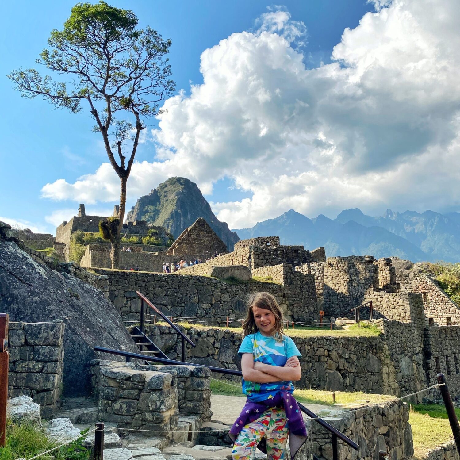Machu Picchu