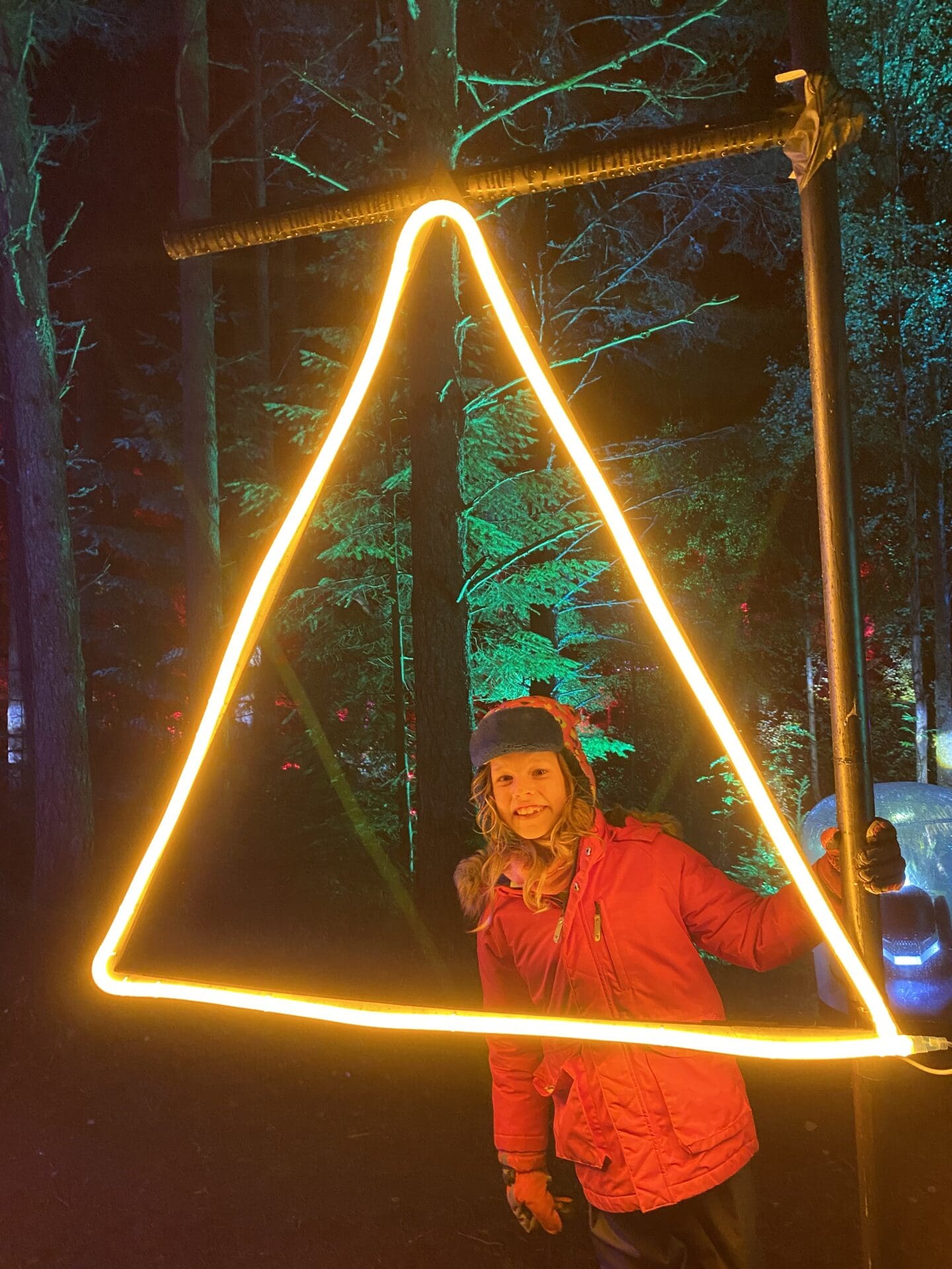 Enchanted forest lights
