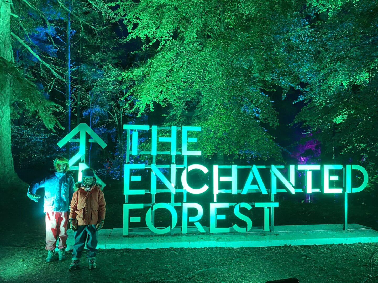 Enchanted Forest Pitlochry