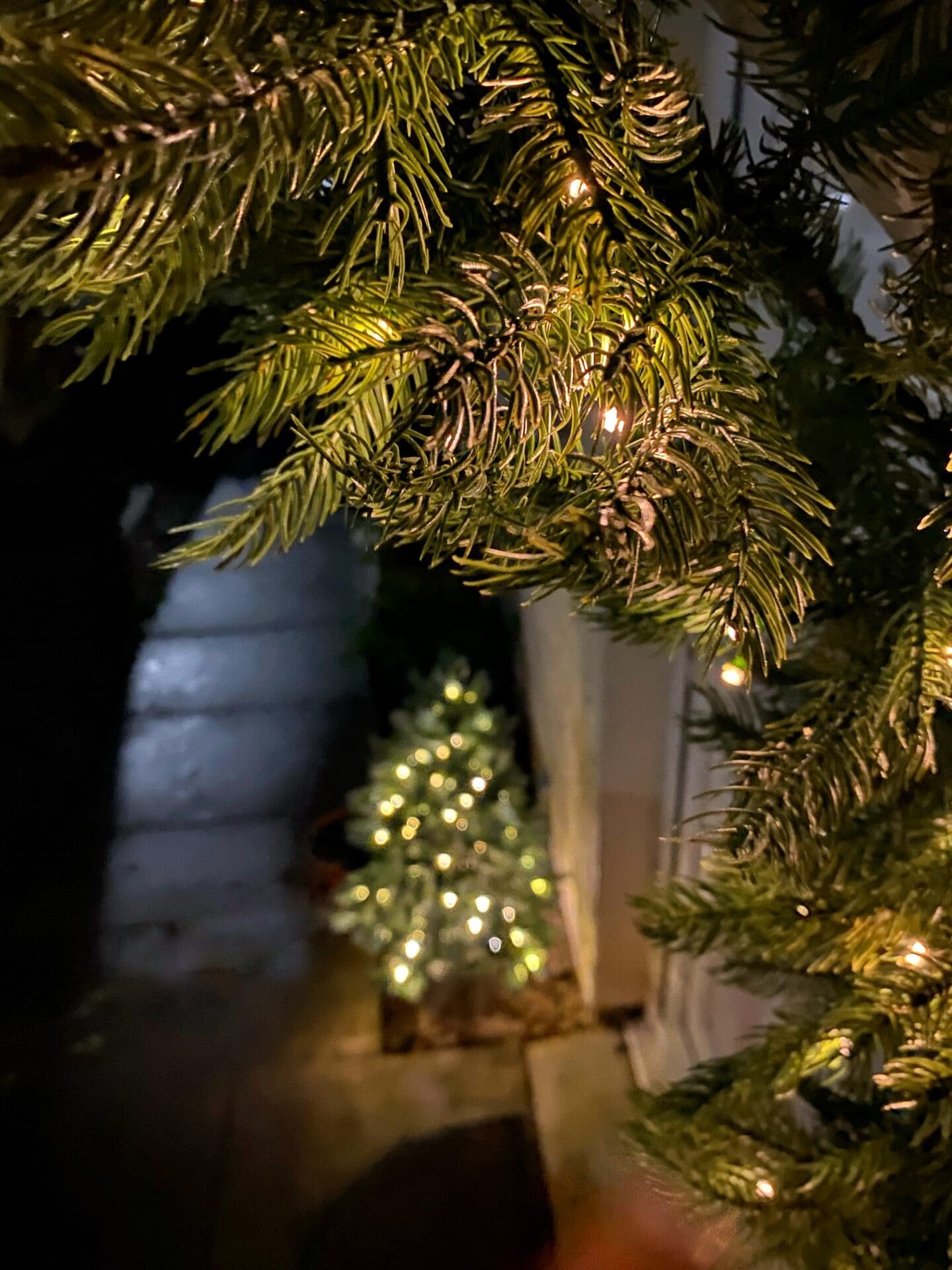 outdoor Christmas lights garland and tree