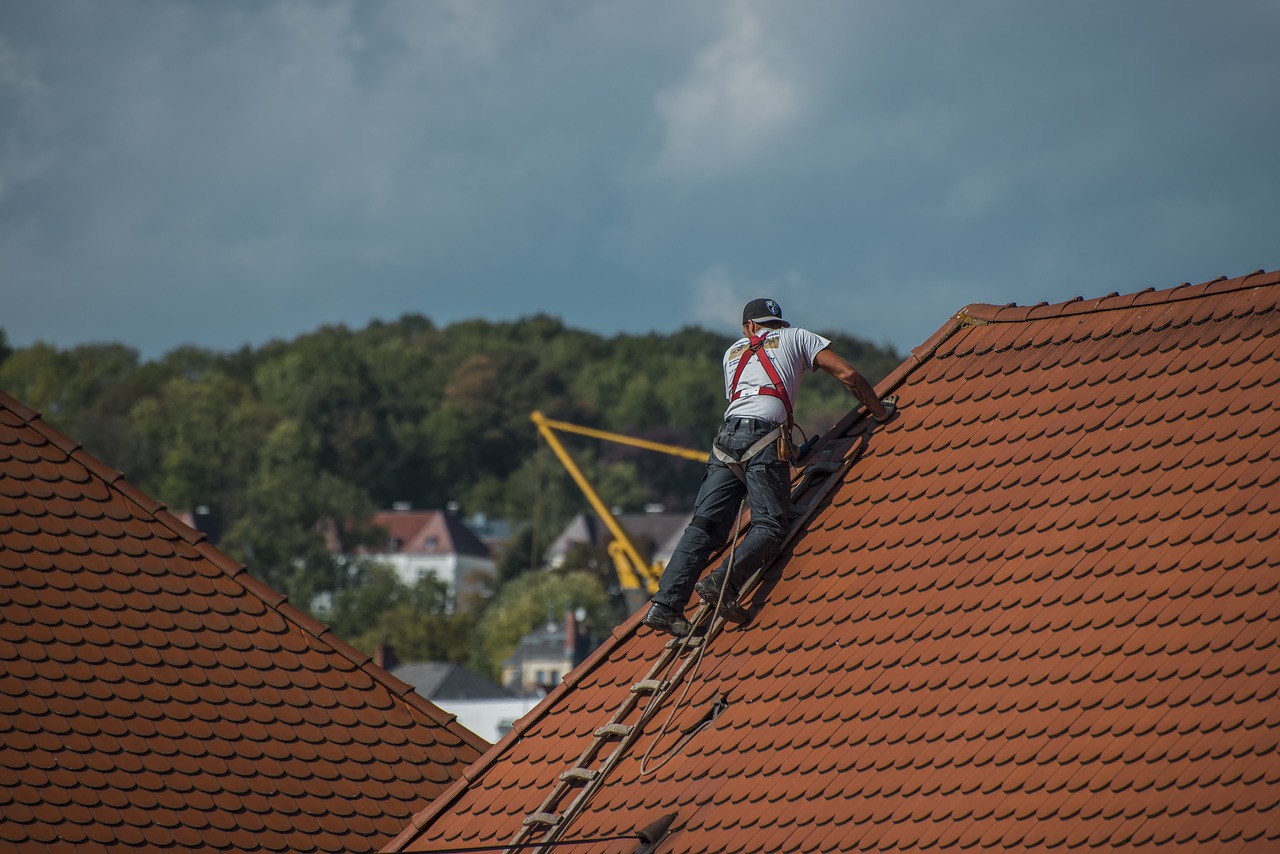 Roof maintenance 