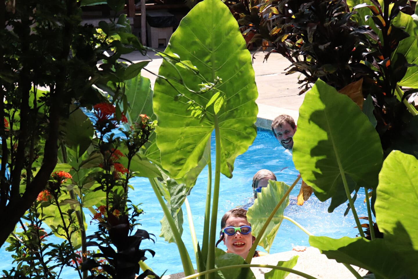 Children in swimming pool in a rainforest