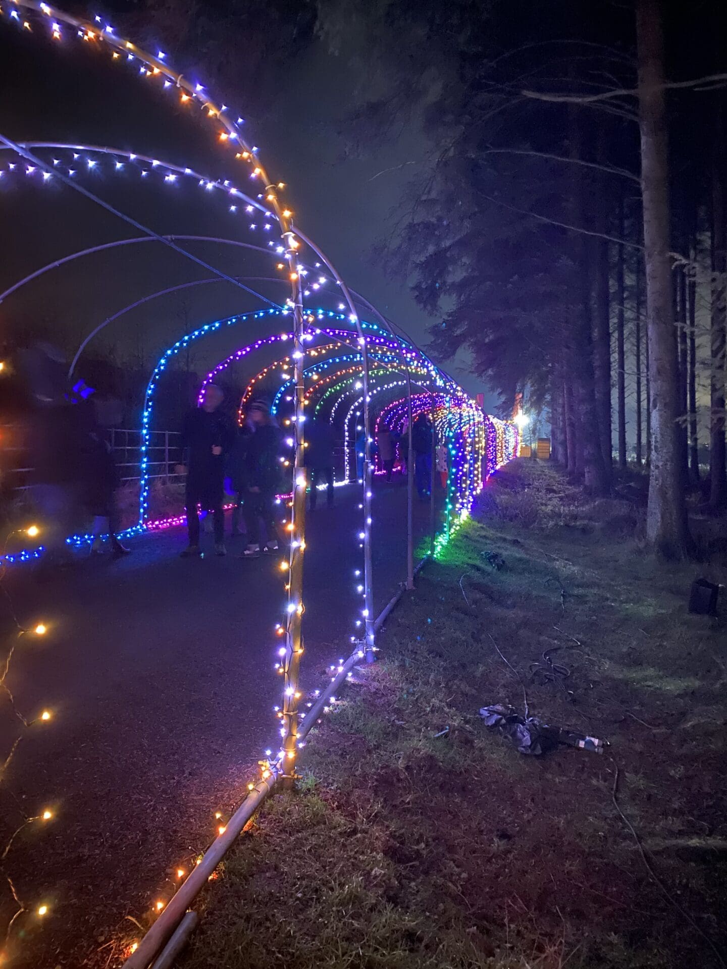 Christmas lights at Beecraigs