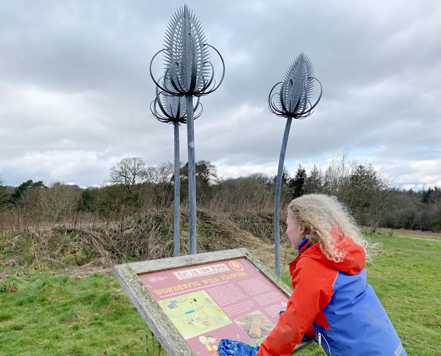 Child looking at sign beside teasel sculpture