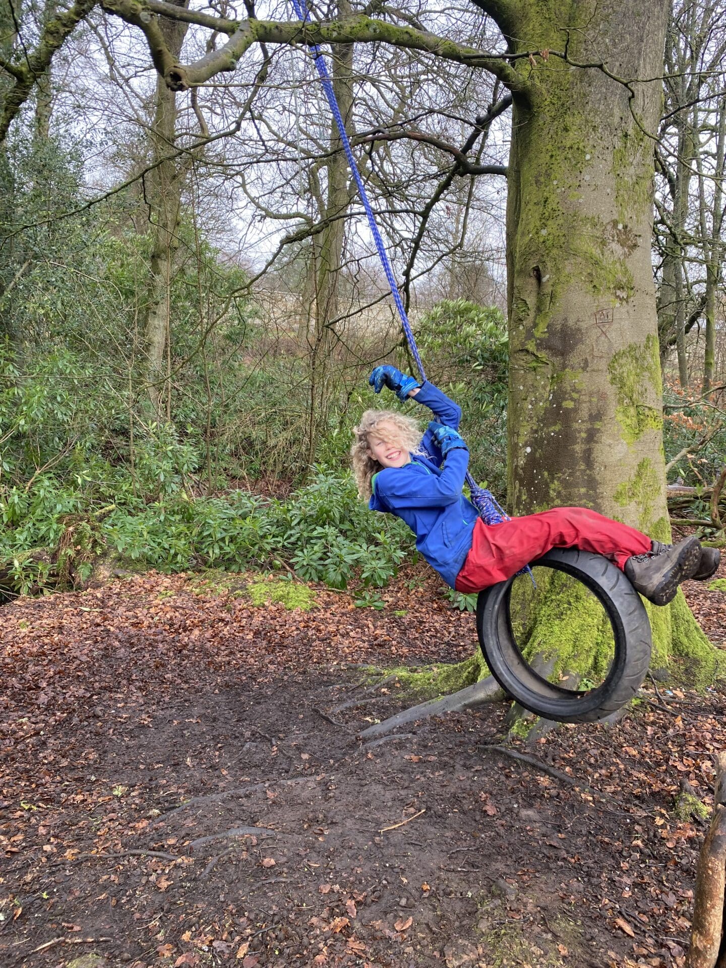 Child on tyre swing in forest