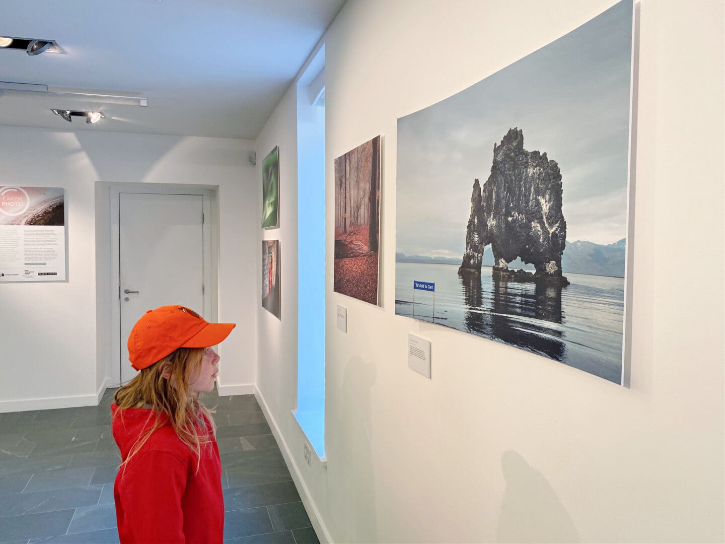 Earth photo exhibition Grizedale