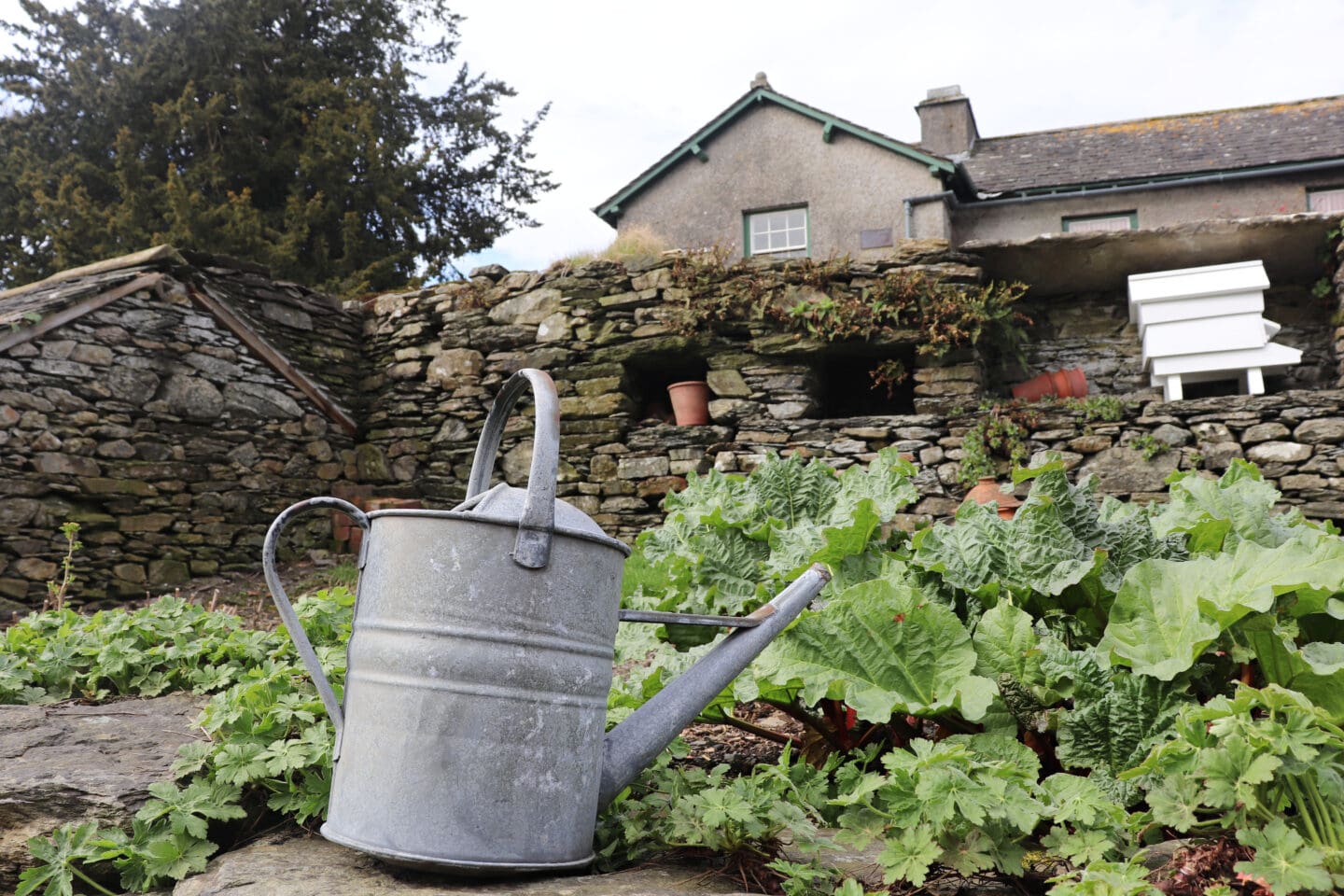 Beatrix Potter’s garden at Hill Top house