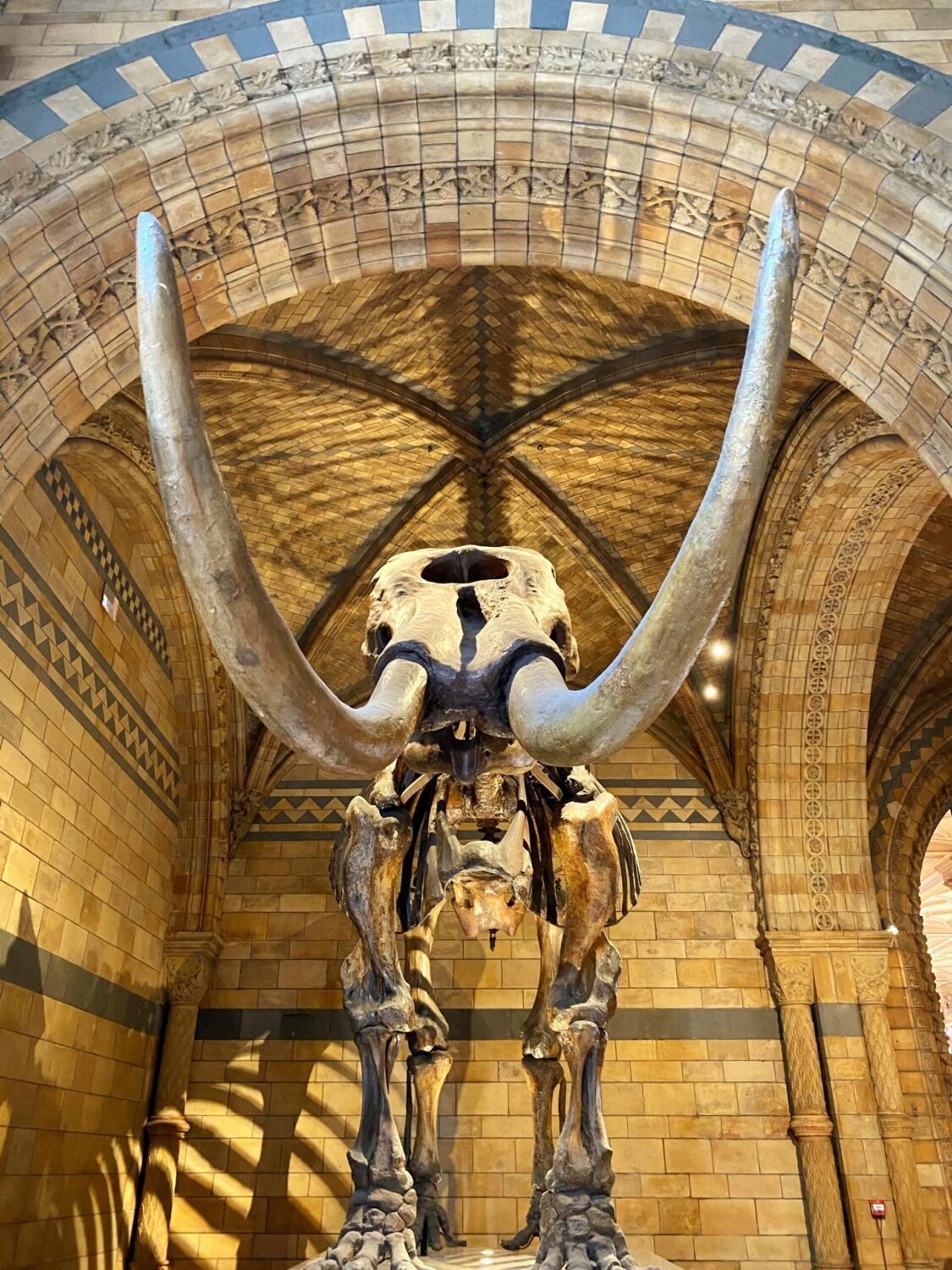 natural history museum London
