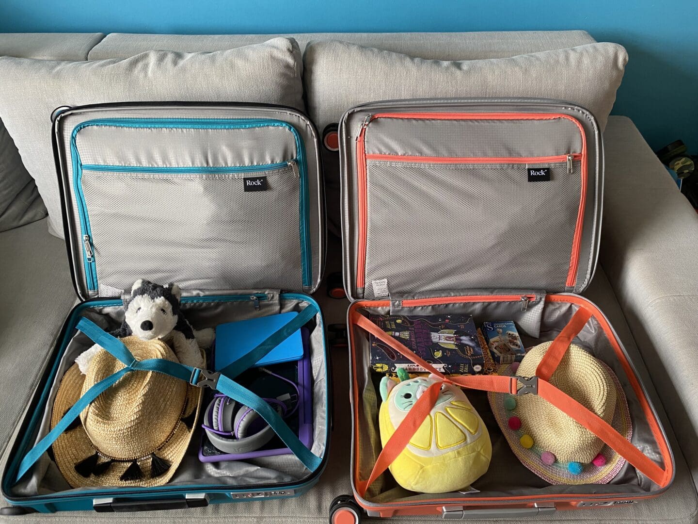 Hand luggage for cruise