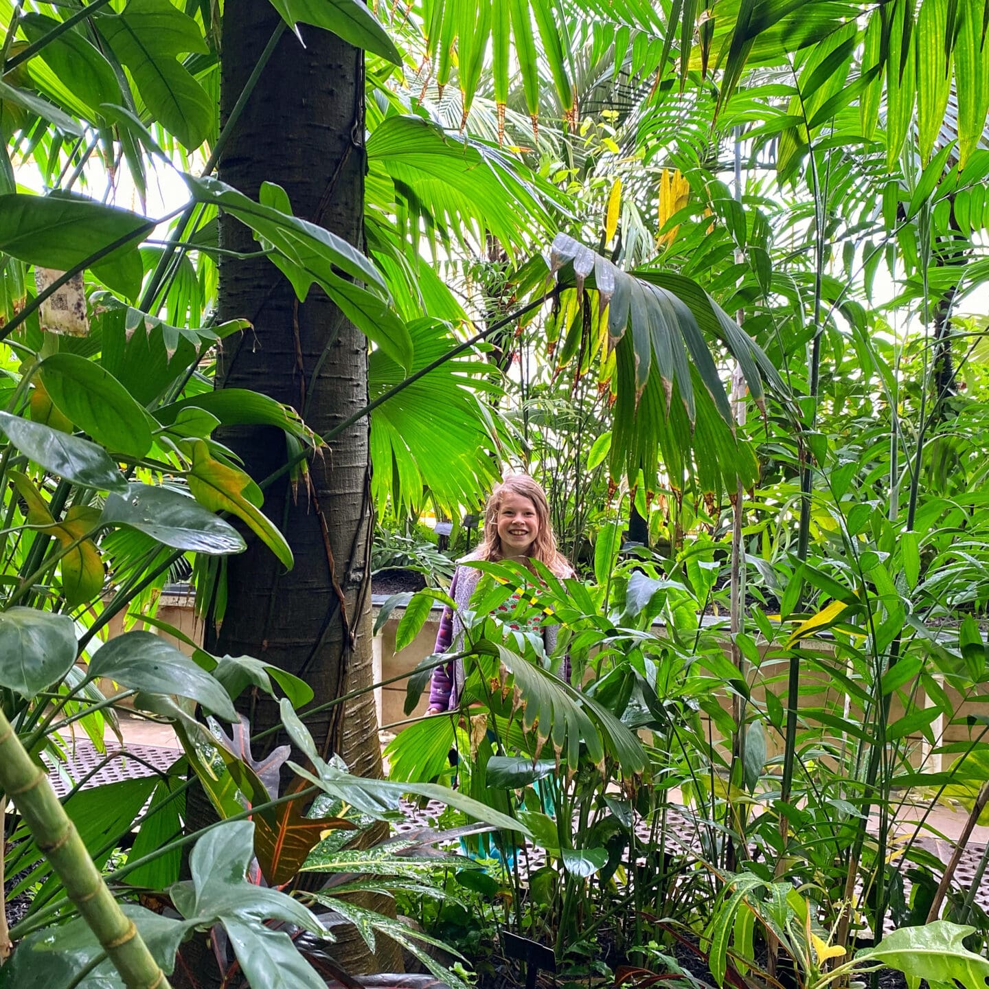 Kew Gardens tropical house