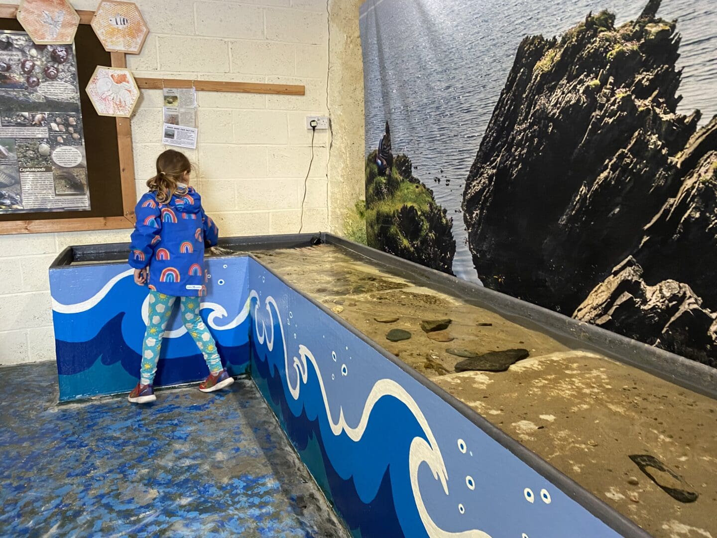 Touch pool at Nature centre Islay