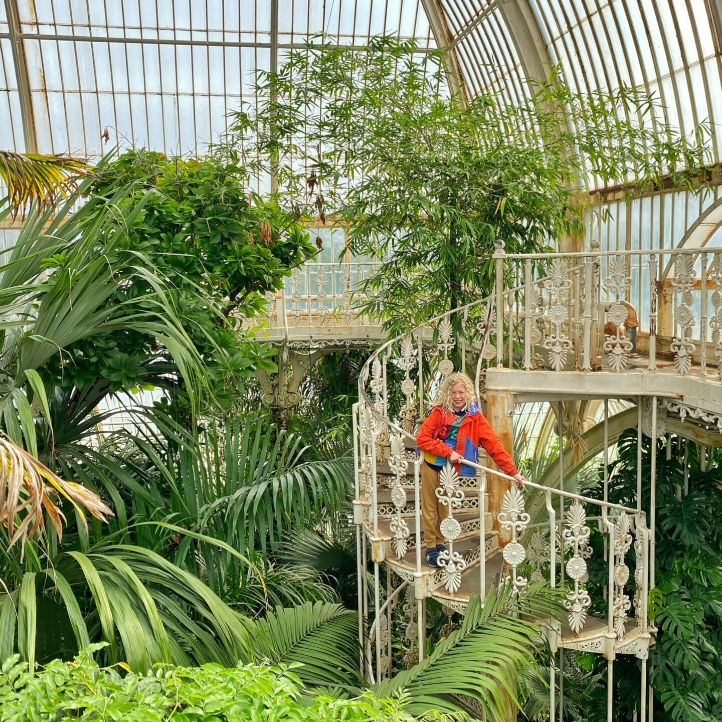 Kew Gardens glasshouse