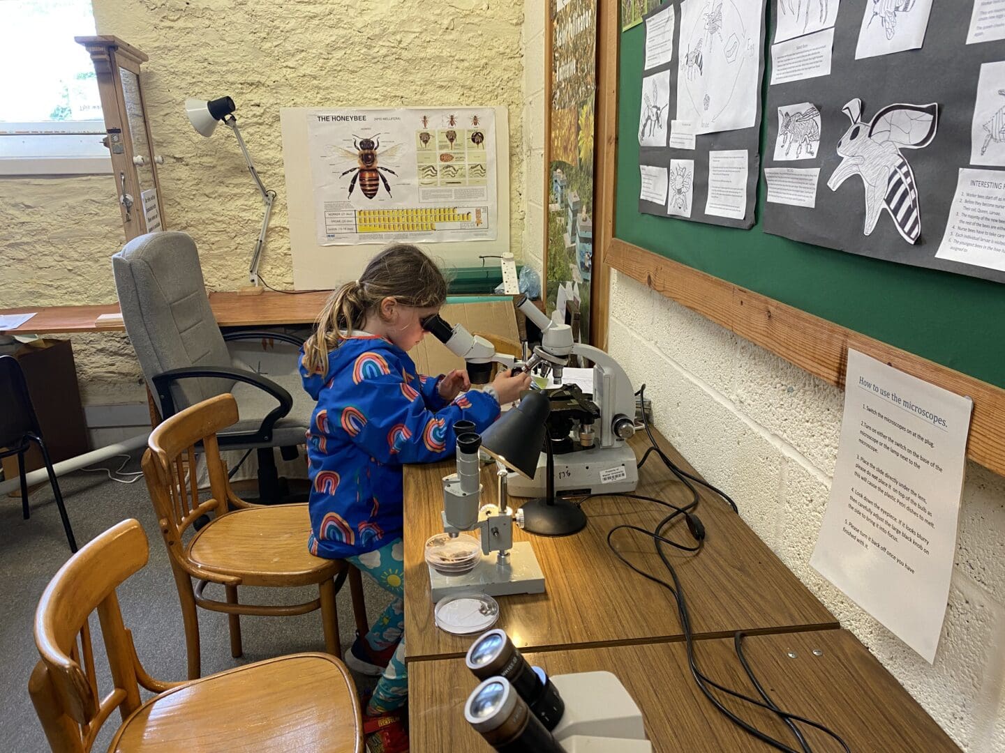 Child using microscope