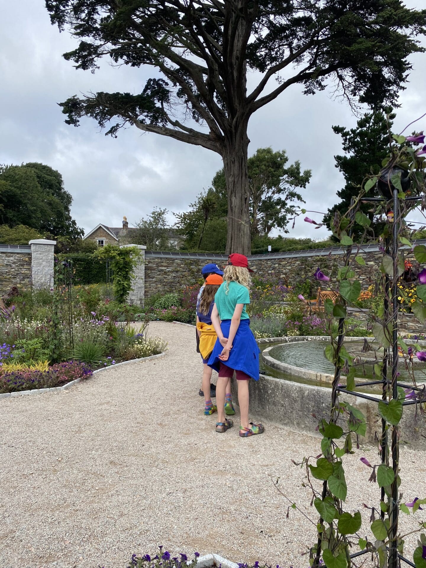 Children in garden