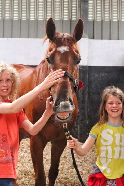 Children with smiling horse
