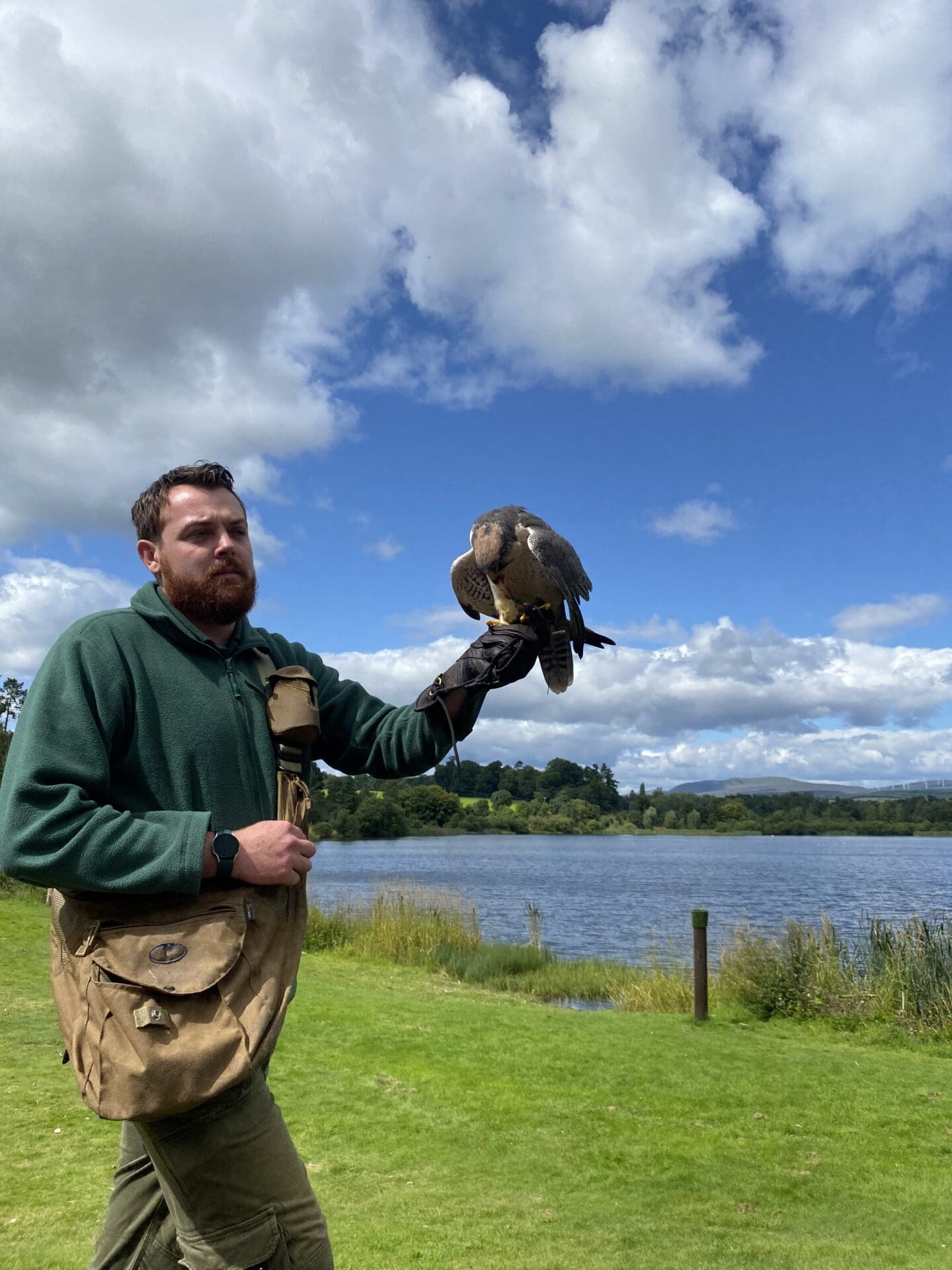 Falconer holding bird of prey