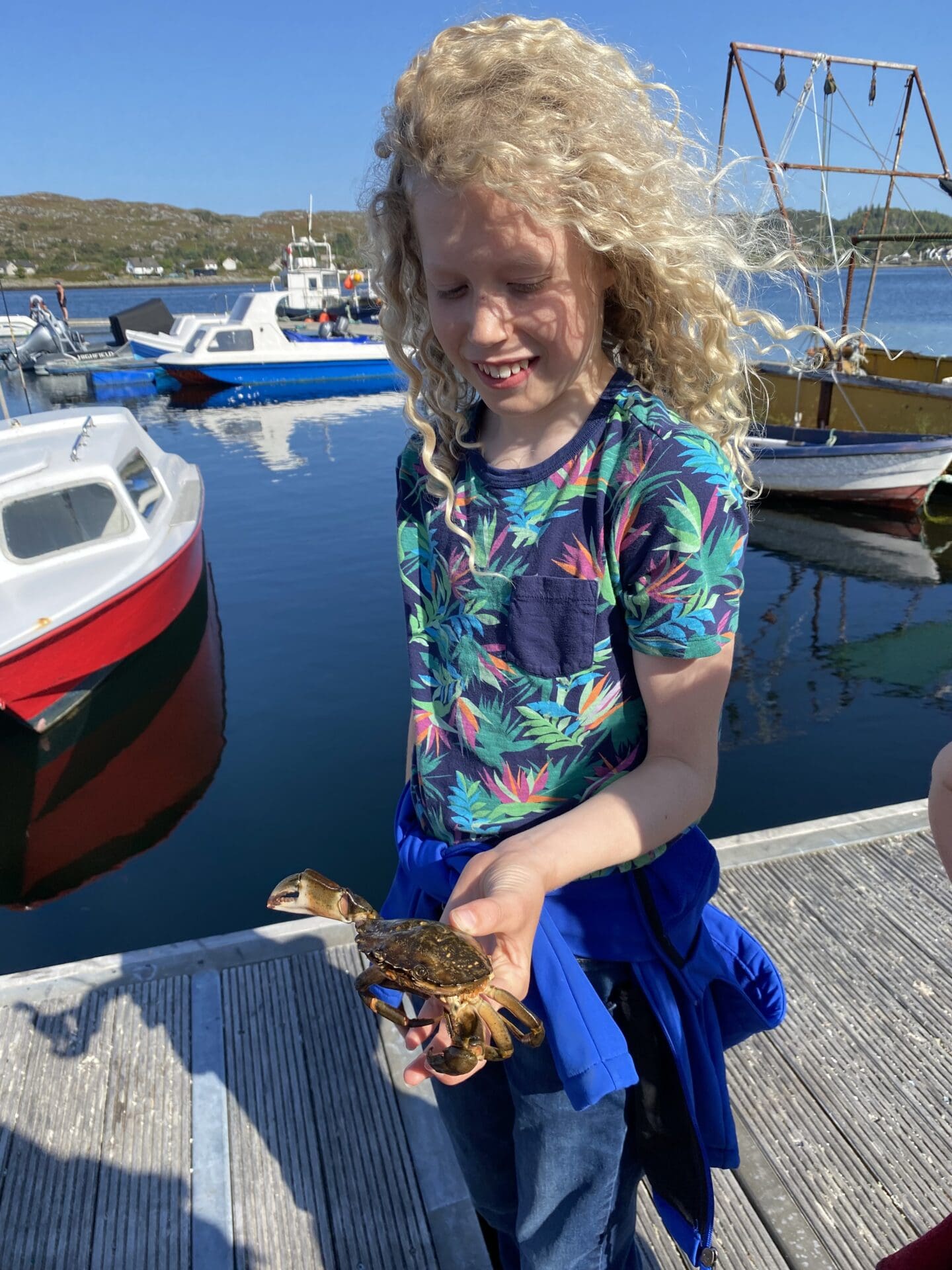 Child holding crab