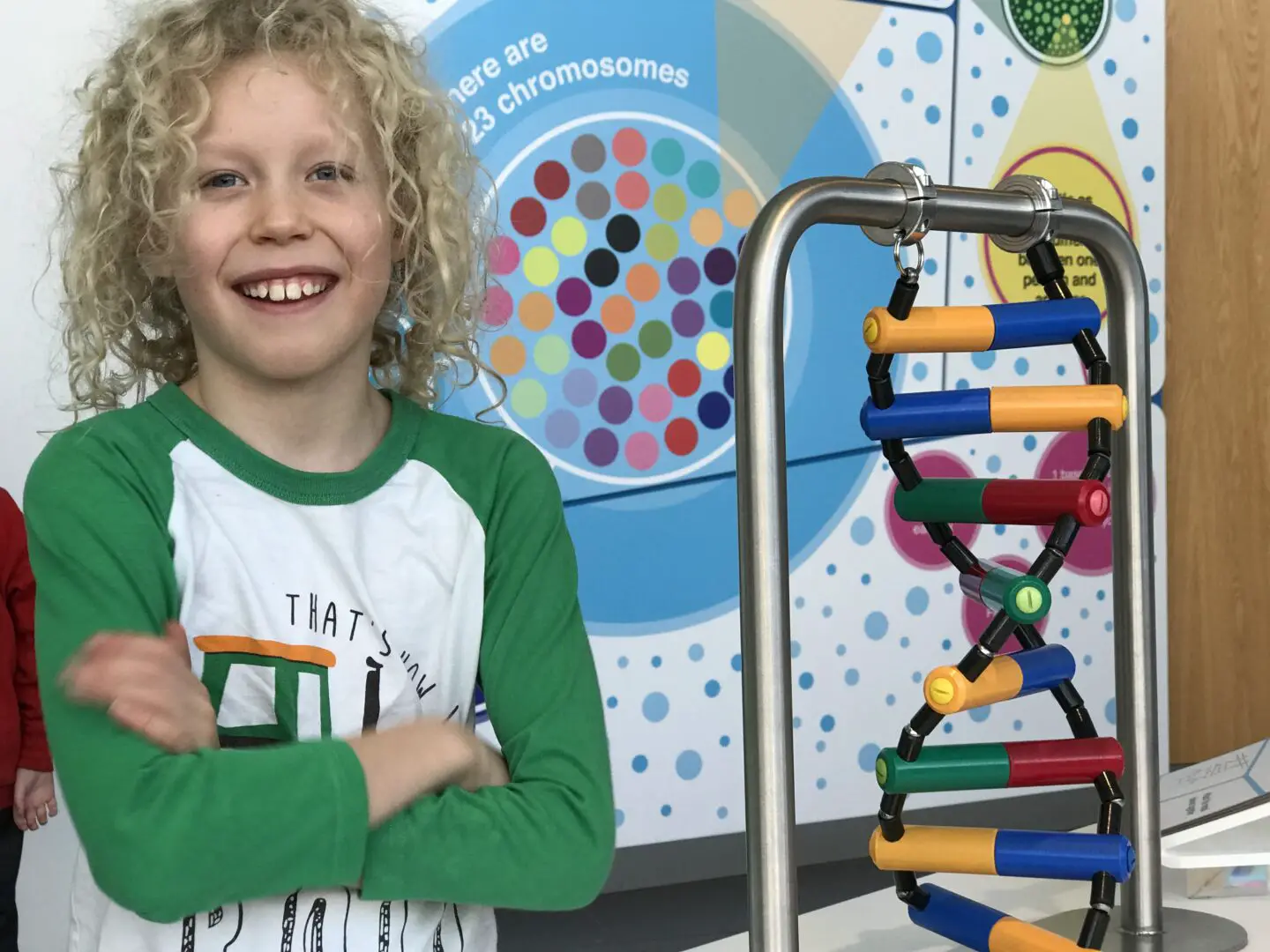 Child with dna interactive magnets at science centre