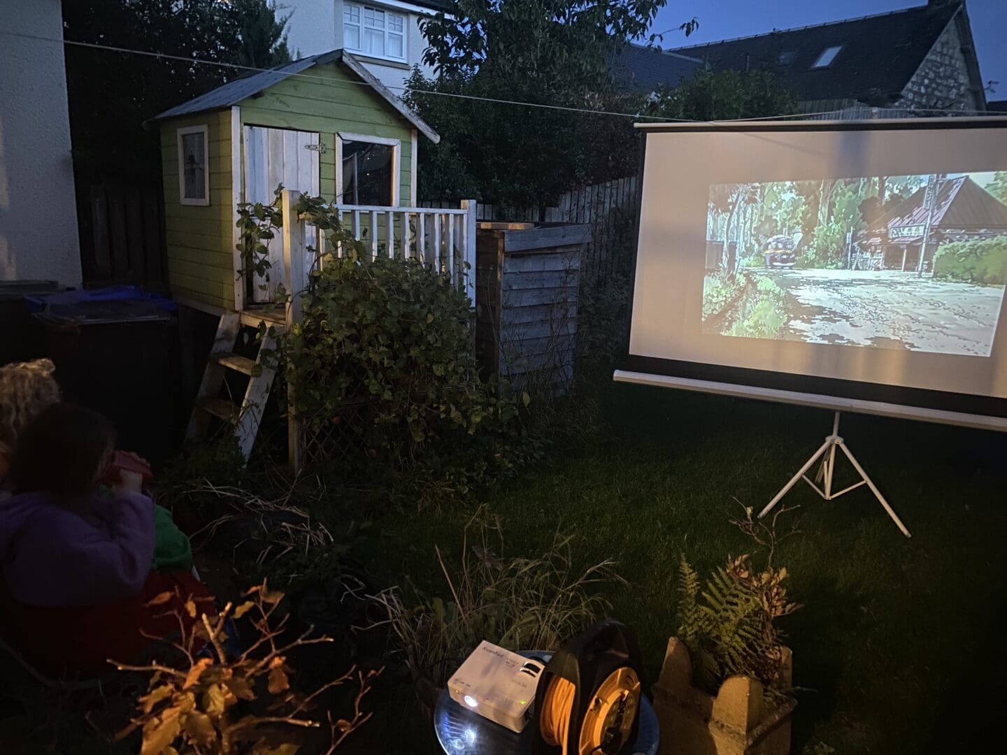 Outdoor cinema in the garden DIY