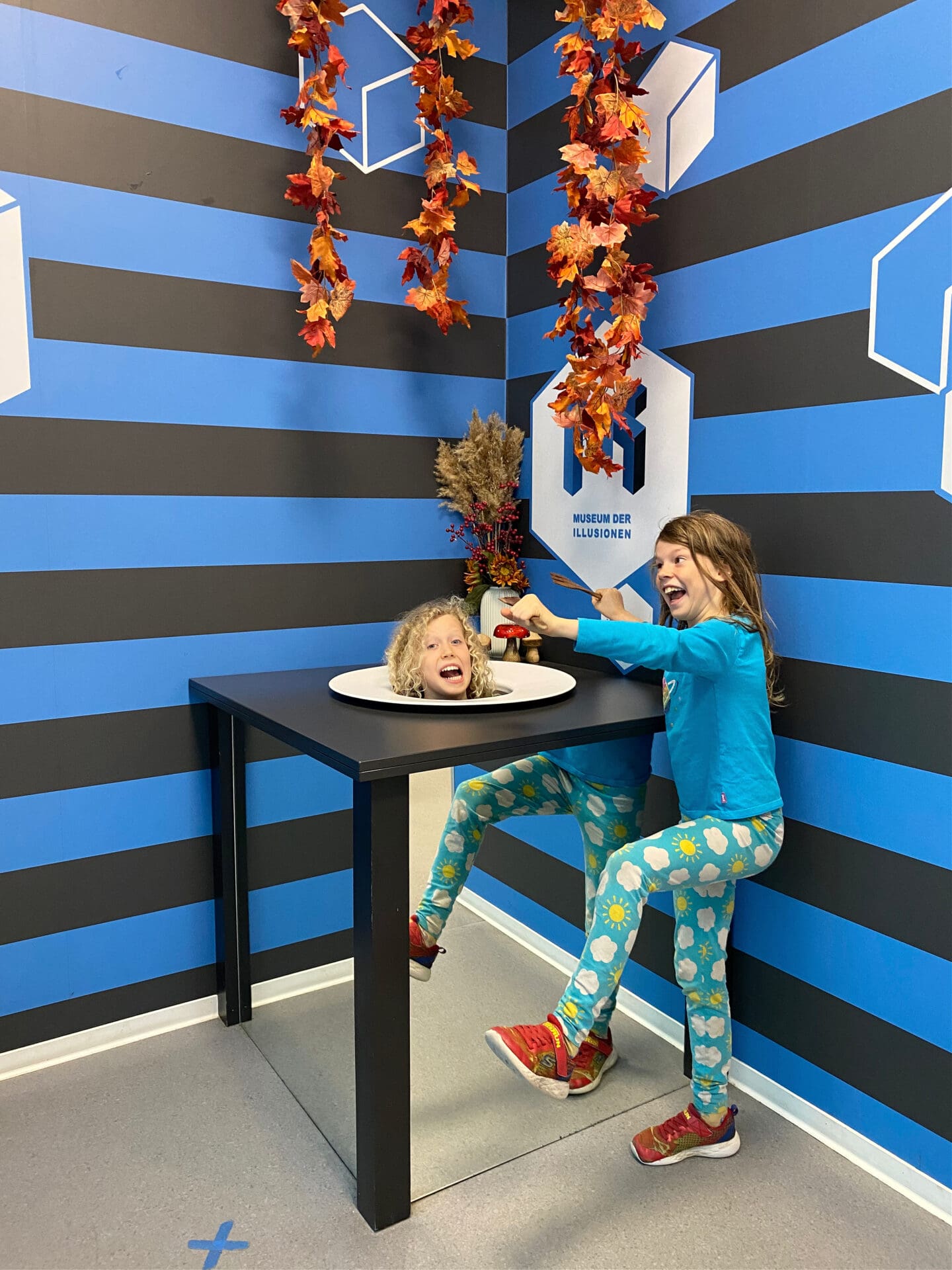 Museum of illusions