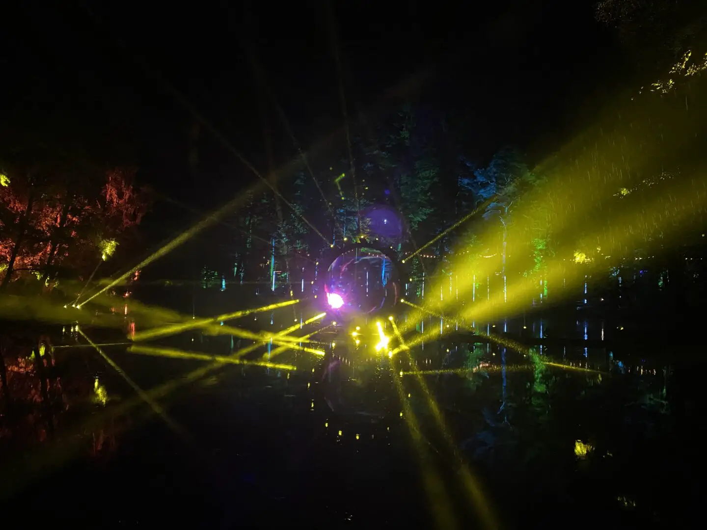 Light show in a forest