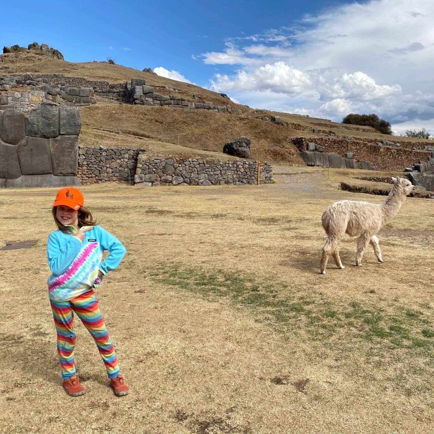 Child with llama