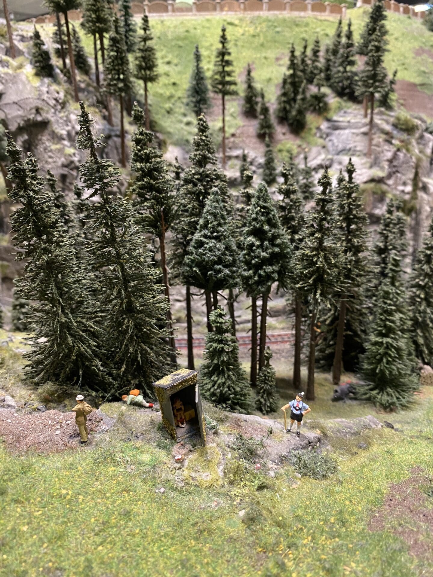 Model toilet in the woods