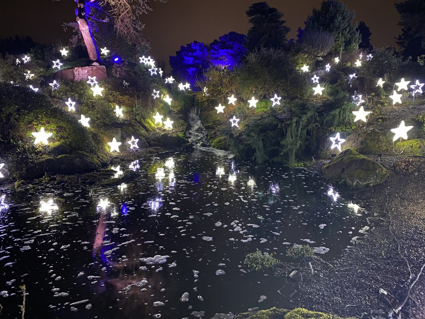 White star lights