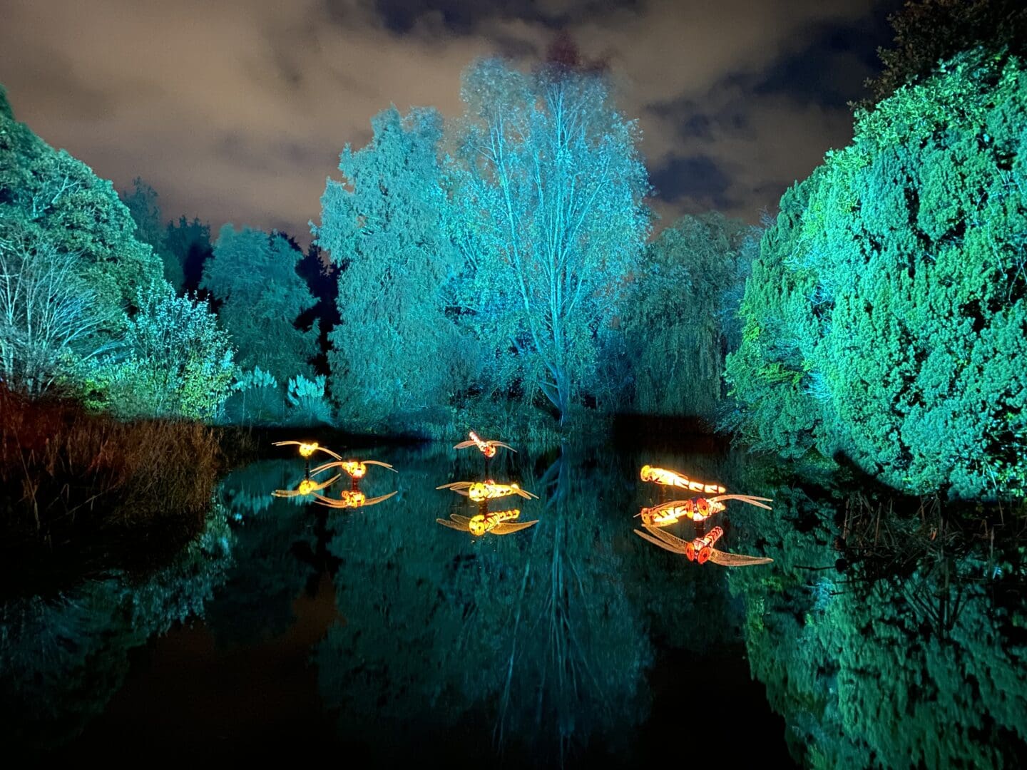 Illuminated dragonflies