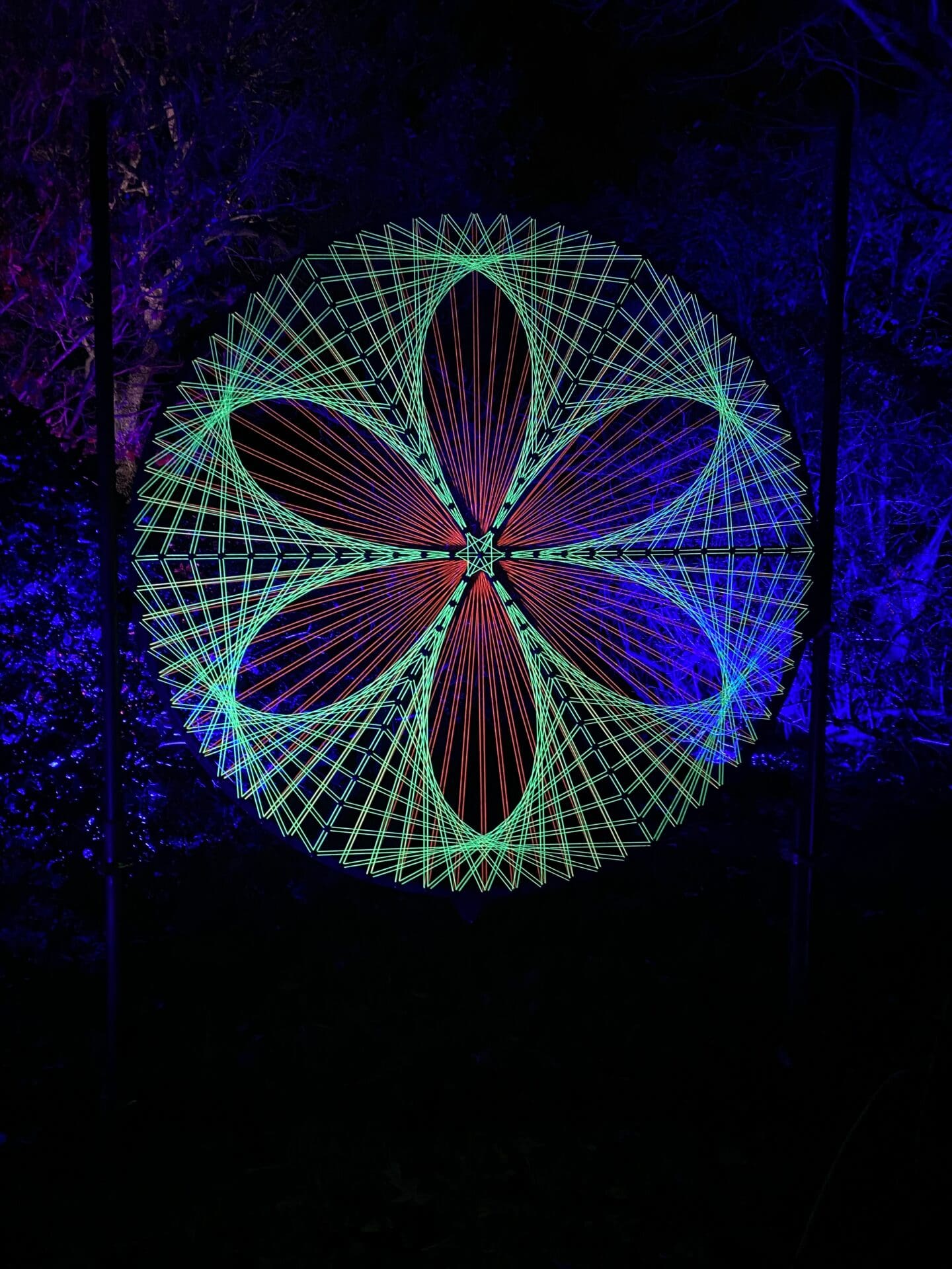 Neon woven illumination