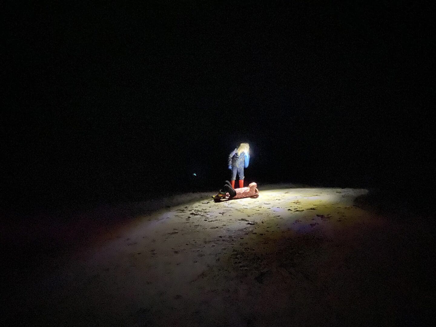 Children walking in the dark on a beach