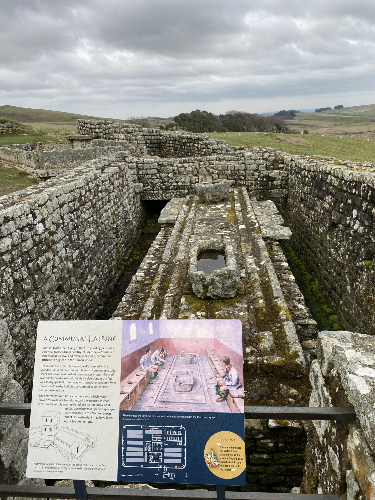 Roman Communal toilet at Housesteads